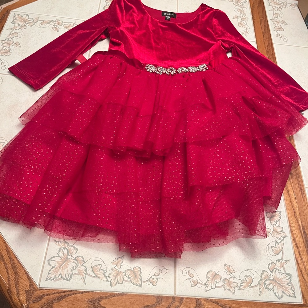 Excellent  condition.Zunie Kids' Velvet & Glitter Long Sleeve Tulle Party Dress
